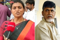 Roja controversial comments on chandrababu naidu cash for vote case