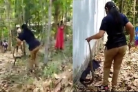 Forest official captures cobra that slithered into a house in kerala