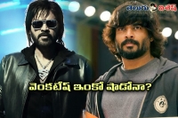 Venky peppy look for saala khadoos remake