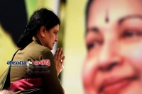 Sasikala rehabilitates sidelined seniors