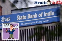 State bank of india recruitment different categories vanancies