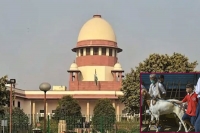 Supreme court raps kerala govt for allowing relaxations of covid norms for bakrid