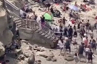 Viral video shows sea lions chasing away beachgoers internet calls it interesting