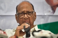 Sharad pawar to visit ed mumbai office in money laundering case