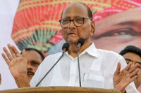 Share cm post if bjp wants to form maharashtra govt says sharad pawar