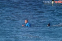 Surfer punches shark to survive nasty attack