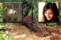 Sheena bora murder case skull forensic test digital superimposition indrani mukherjea