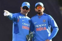 Ms dhoni to play till t20 world cup on virat kohli s request
