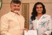 Pv sindhu takes charge as deputy collector