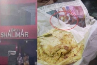 Snake skin found in food from kerala restaurant officials shut down eatery