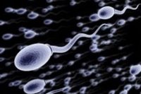 American organisation pays crores for sperm donars