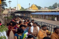 11 day annual brahmotsavams fest begins from today at srisailam will conclude on march 4