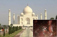 Pillar of taj mahal entry gate collapses due to heavy rain in agra