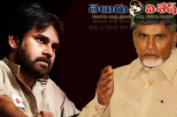 Tdp mps lashes out at pavan kalyan in party chiefs direction