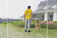 Ms dhoni is back to play for chennai super kings again