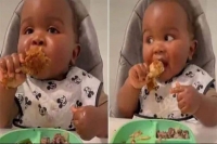 Viral video adorable baby eats full chicken wing on his own