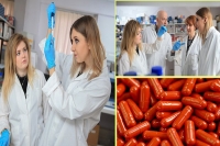New tomato pill could supercharge sperm by 70 per cent
