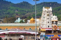 Ttd board cancels vip break darshan for five days