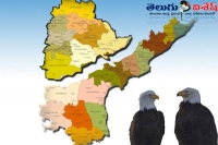Congress senior leader nalgonda mp gutta sukhenderreddy said that kcr and chandrababu naidu as eagles