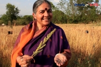 Vandana siva biography famous indian scholar and environmental activist