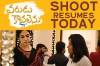 Naga shourya varudu kaavalenu resumes shooting