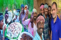 Village cooking channel of rahul gandhi s mushroom biryani fame reaches 1 crore youtube subscribers