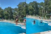 Viral video womans wig falls off as she jumps into swimming pool