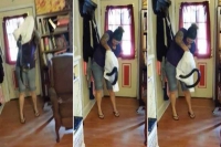 Woman catches snake in pillow case like a total boss video gone viral