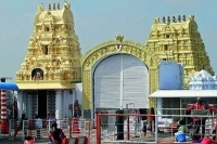 Lord yadagiri laxmi narasimha swamys laddu and pulihora to cost more