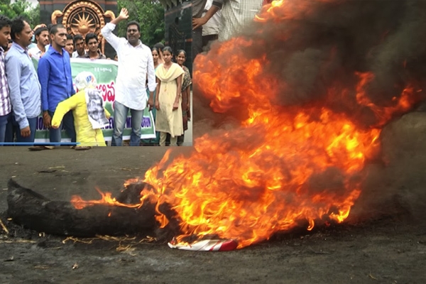 Seemandhra protest on ap capital