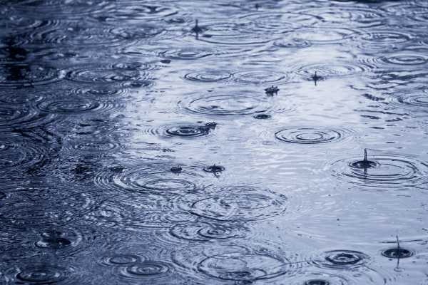Weather report hopeful of getting rains in 24 hours