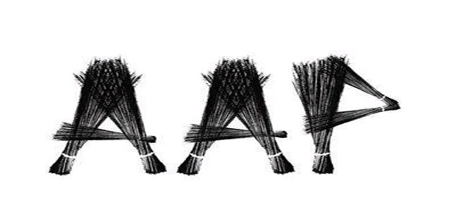 Broom stick aap s permanent election symbol