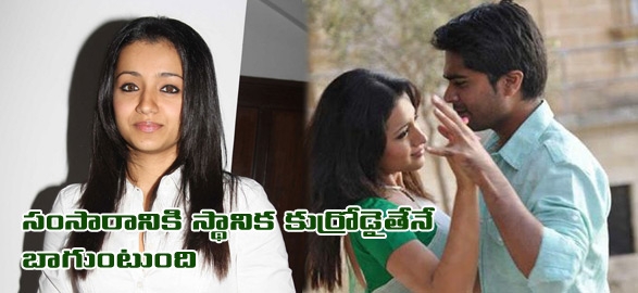 Telugu movie gossip actress trisha wants chennai guy