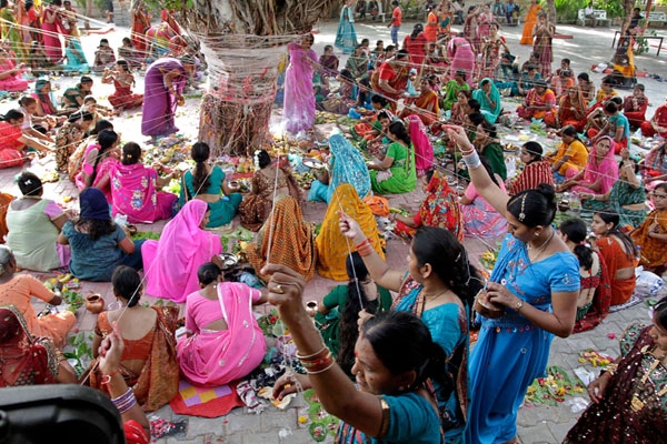 Why should we do pooja to trees
