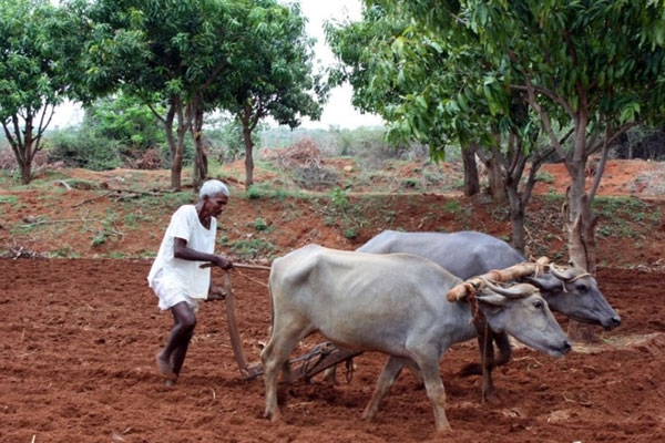Kcr adds naya condition to telangana farmer loan waiver