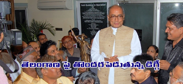 Andhra cm leaders asked to prepare strategy for telangana digvijay