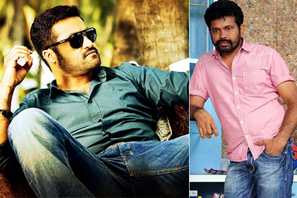 Junior ntr sukumar movie updates shooting schedules rakul preet singh