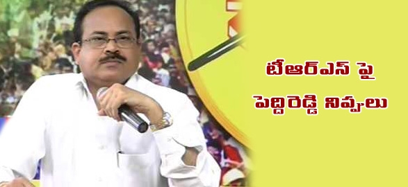Tdp leader peddi reddy comments on kcr