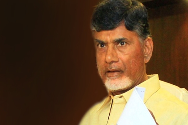 Chandra babu told to all politicians and officials everyone should adopt one village