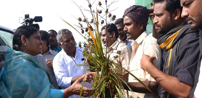 Uttam kumar reddy fire on ys vijayamma