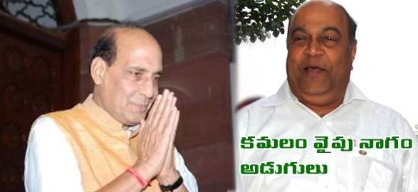 Political nagam janardhan reddy meets rajnath singh