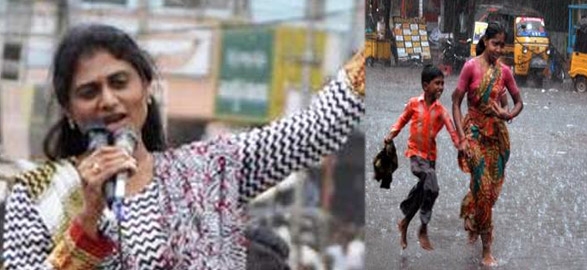 Sharmila tirupati public meeting and heavy rain