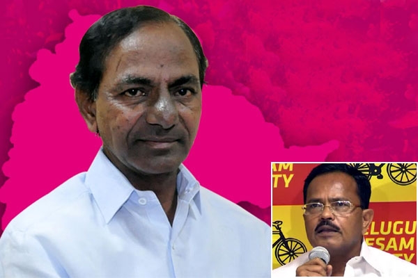 Telangana tdp minister motkupalli narsimhulu controversial comments kcr chest hospital
