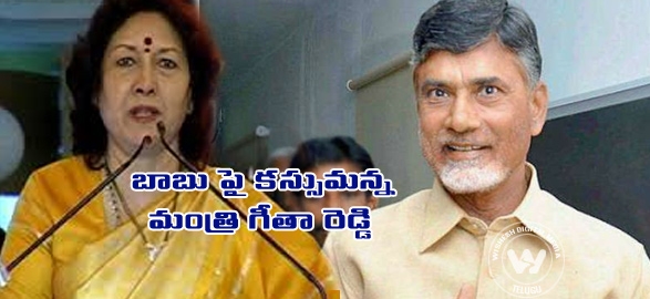 Political minister geetha reddy comments on chandra babu naidu