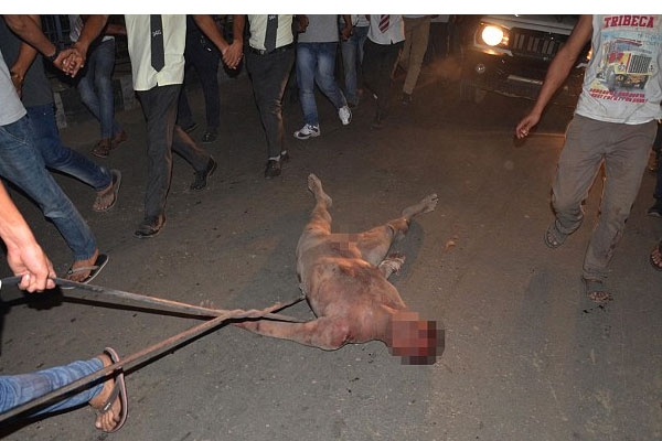 Mob finish a rapist in nagaland