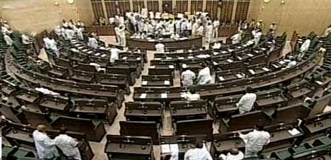 Protests mar assembly functioning