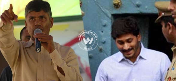 Jagan bail match fixing chandrababu angers