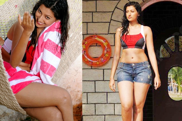 Hamsa nandini affair with movie producer