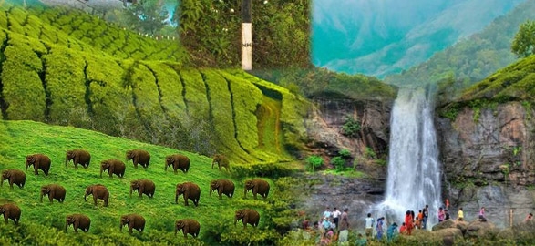 Information about munnar in kerala