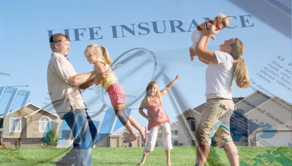 New life insurance policies in markets